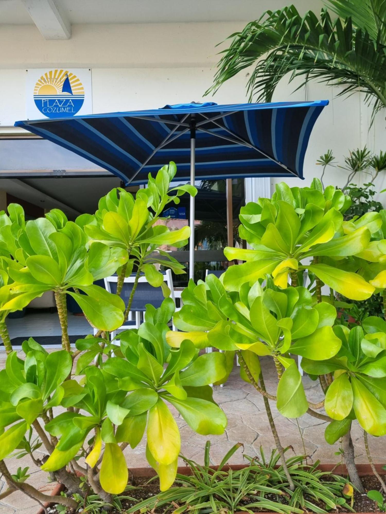 Hotel Plaza Cozumel Exterior foto